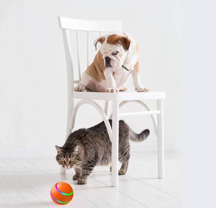 Selbstrotierender Ball für Hunde&Katzen